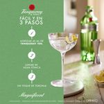 ginebra-tanqueray-no-ten-700-ml-758076-3-p