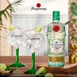 ginebra-tanqueray-rangpur-750-ml-03