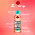 Tanqueray-Bossa-Nova-4